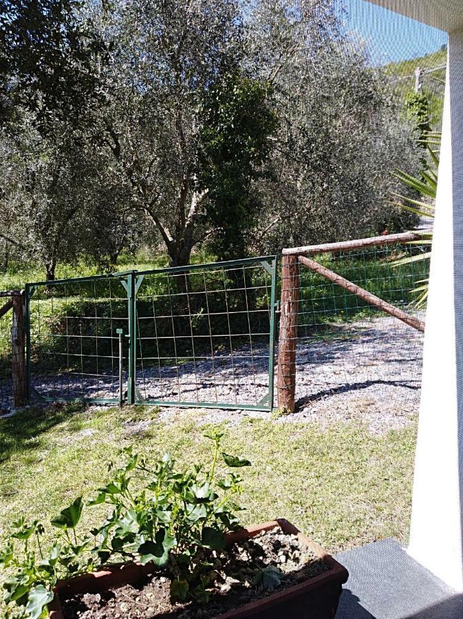 Ca' Do Diao Βίλα Onzo Εξωτερικό φωτογραφία